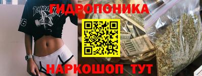 бошки Можга