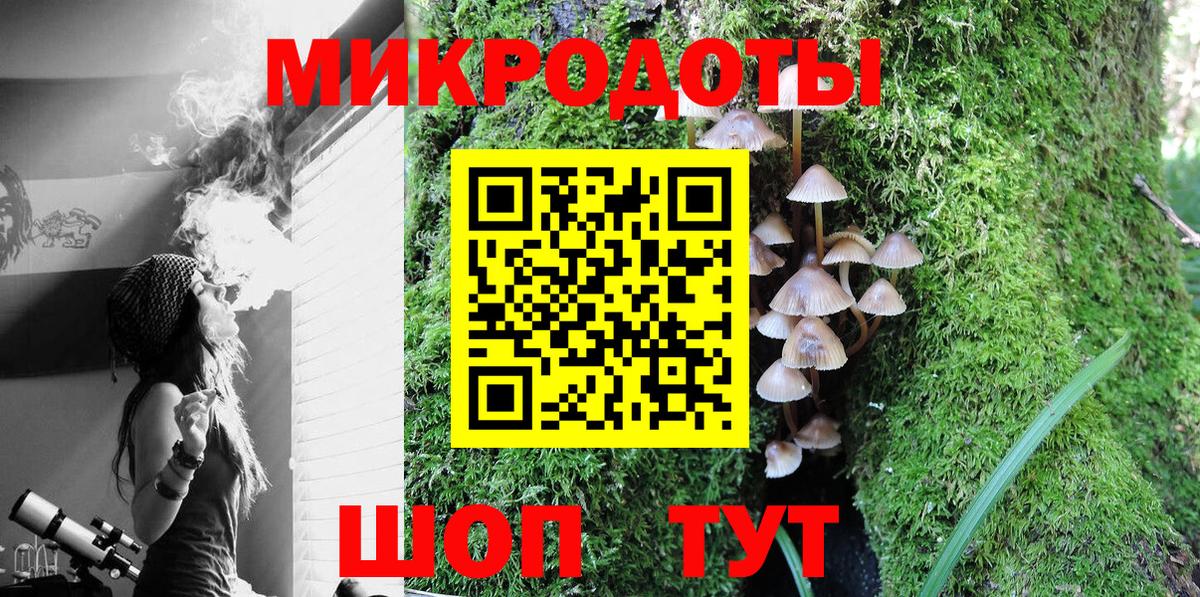Псилоцибиновые грибы мицелий Петровск
